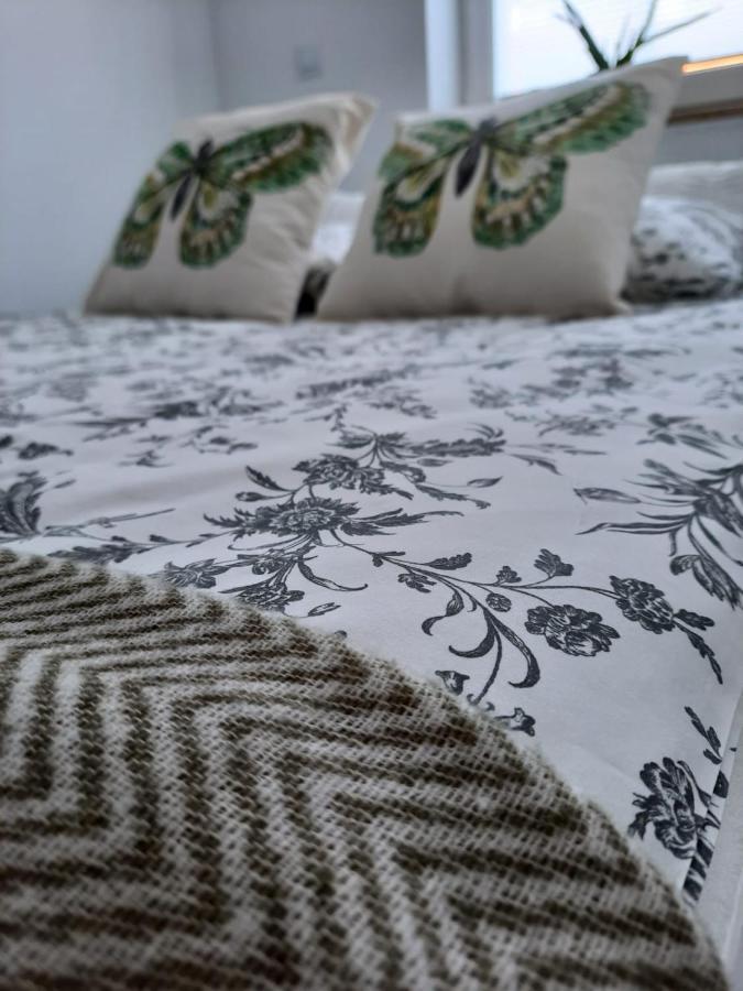 Apartament Felina Świeradów-Zdrój エクステリア 写真