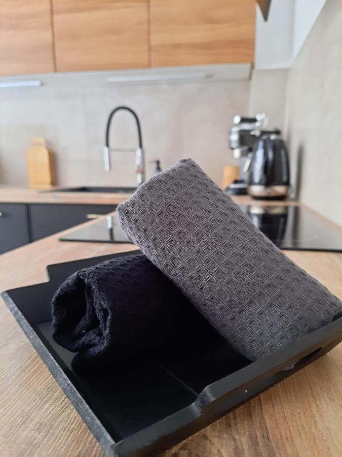 Apartament Felina Świeradów-Zdrój エクステリア 写真
