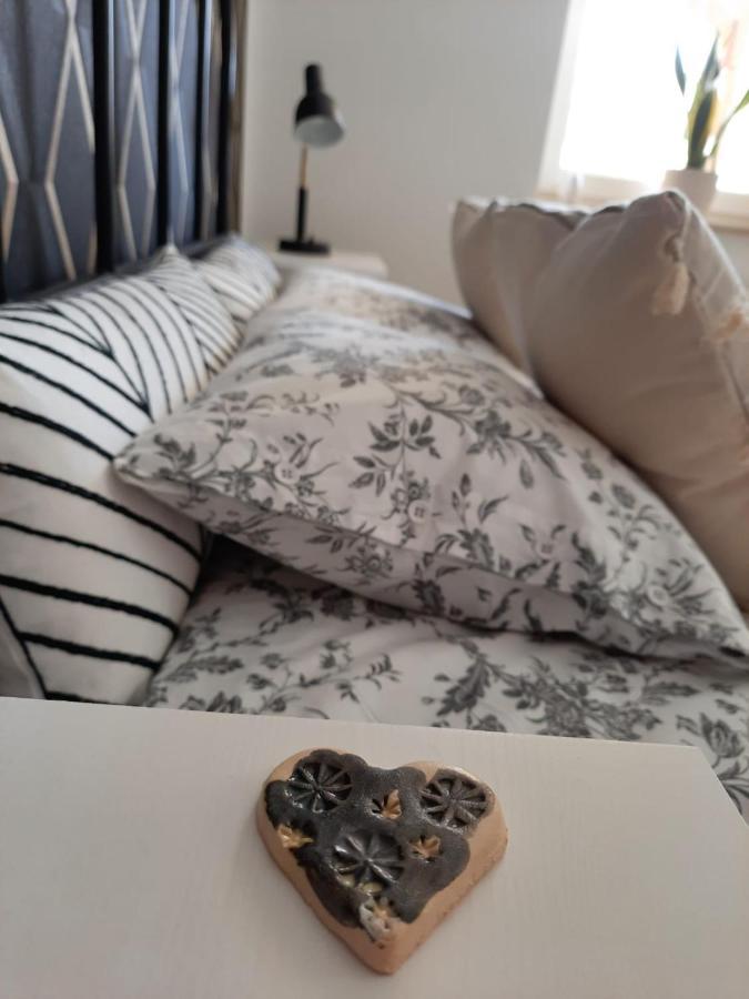 Apartament Felina Świeradów-Zdrój エクステリア 写真