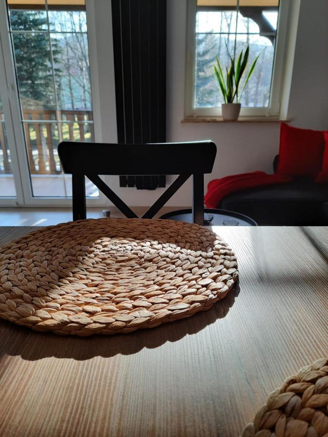 Apartament Felina Świeradów-Zdrój エクステリア 写真